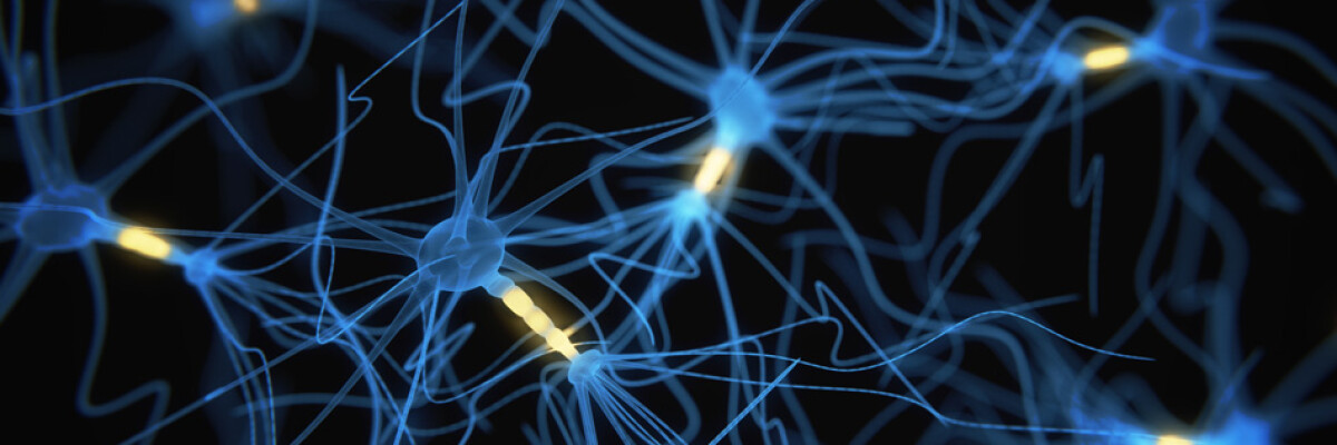 Ученым удалось сохранить нервную активность изолированной мозговой ткани в течение месяца