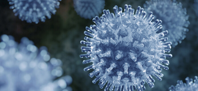 Найдена универсальная вакцина от гриппа