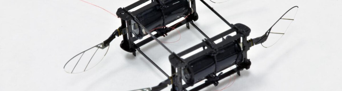 Робопчела получила искусственные эластичные мышцы, которые работают, как у настоящих пчел