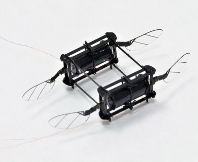 Robotic Bees Get Artificial Soft Muscles Similar to Those of Real Bees