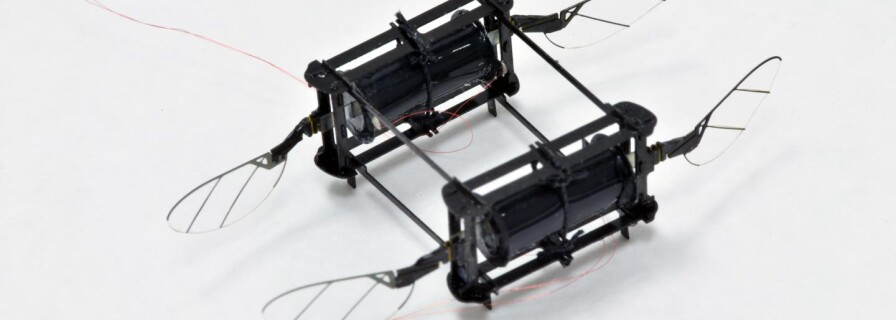 Robotic Bees Get Artificial Soft Muscles Similar to Those of Real Bees