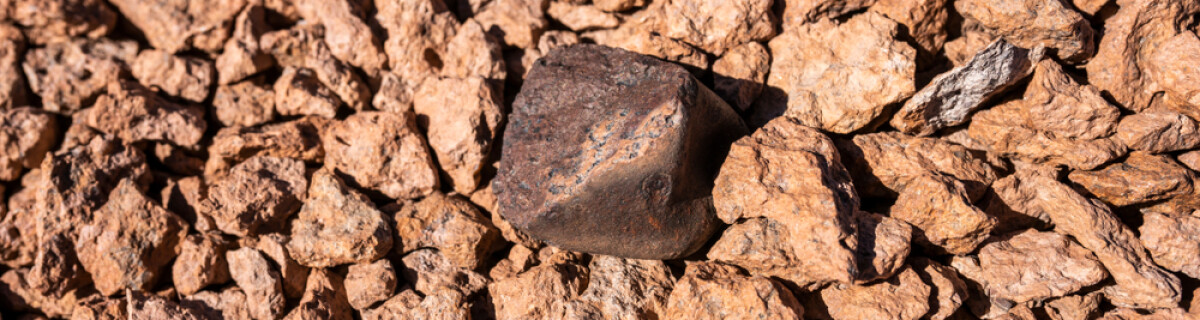 Внутри метеоритов обнаружили рибозу