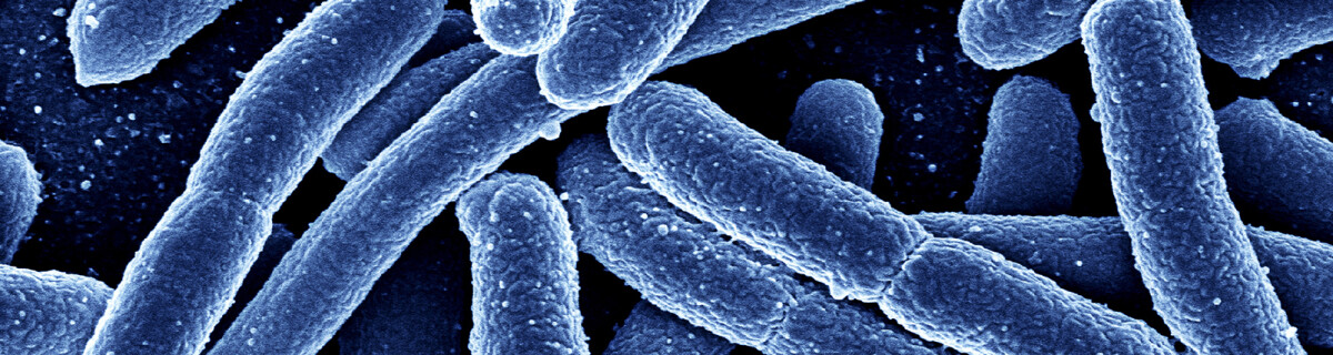 Новый CRISPR-инструмент помогает бороться с устойчивостью к антибиотикам