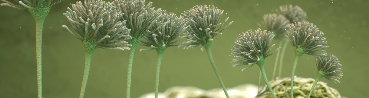 Fungal Clouds Pose an Emerging Threat to Human Health