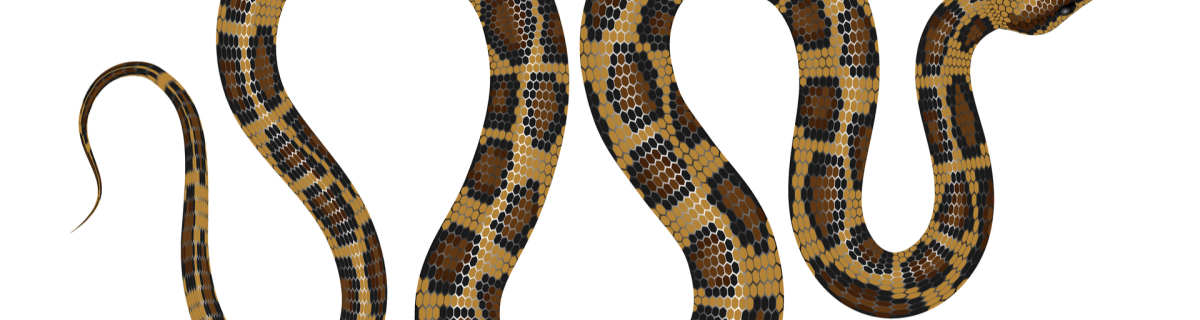 A snake robot can overcome obstacles 38% height of its body length