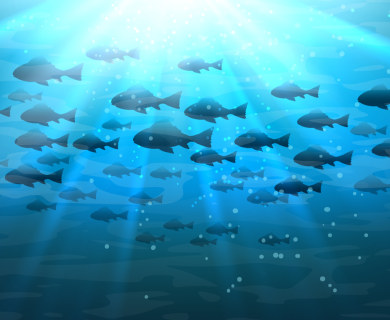 Alphabet plans to save the oceans from pollution