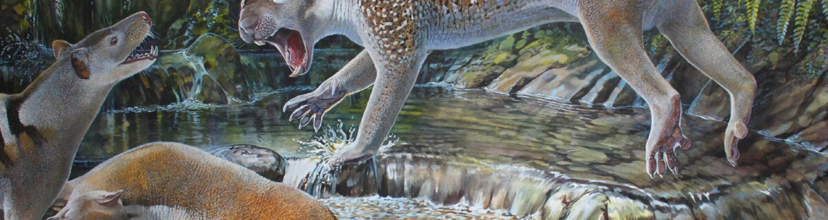 The remains of an ancient dwarf lion were discovered in Australia