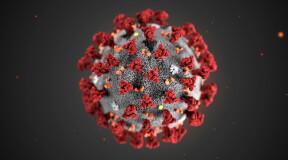 Как курьеры-беспилотники помогают больным коронавирусом?