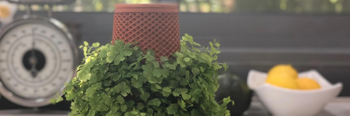 A New York startup has created a new system based on hydroponics technology that grows plants without soil