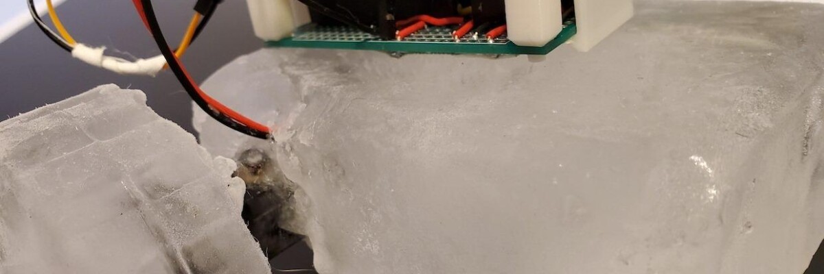 The University of Pennsylvania develops a robot constructed from ice