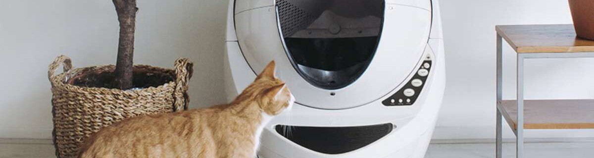 The smart litter box that will save a lot of hassle for cat owners