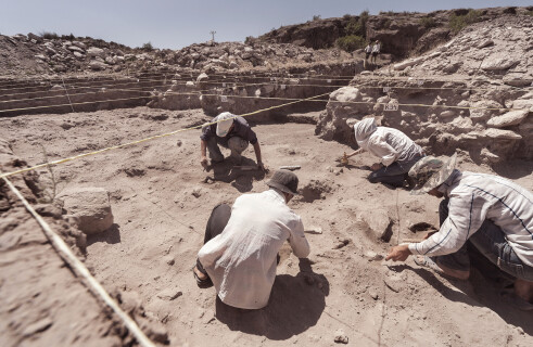 A Pensioner Has Discovered the Ruins of an Ancient Palace on His Land