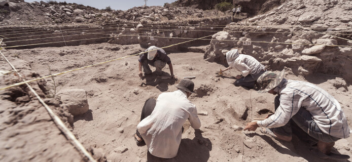 A Pensioner Has Discovered the Ruins of an Ancient Palace on His Land