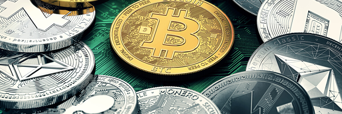 Bitcoin is the official means of payment.  How is it possible, and what are the consequences?