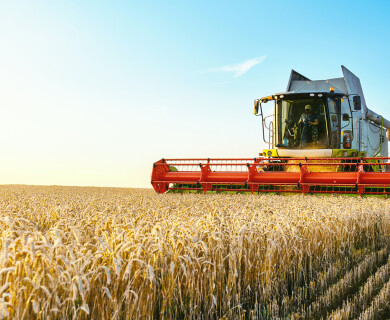 Biologists discover how to increase crop yields by fifty per cent