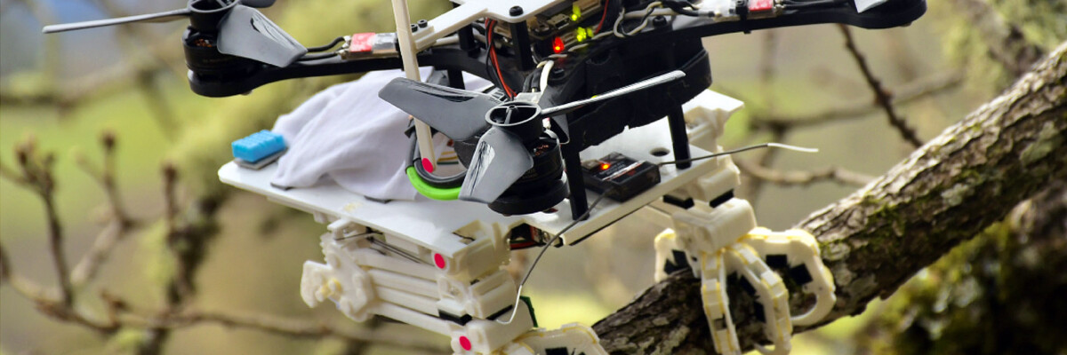 Scientists develop a drone with predatory paws