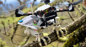 Ученые создали дрон с хищническими лапами
