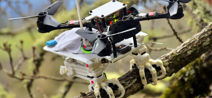 Ученые создали дрон с хищническими лапами