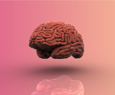 Alcohol causes a decrease in brain volume