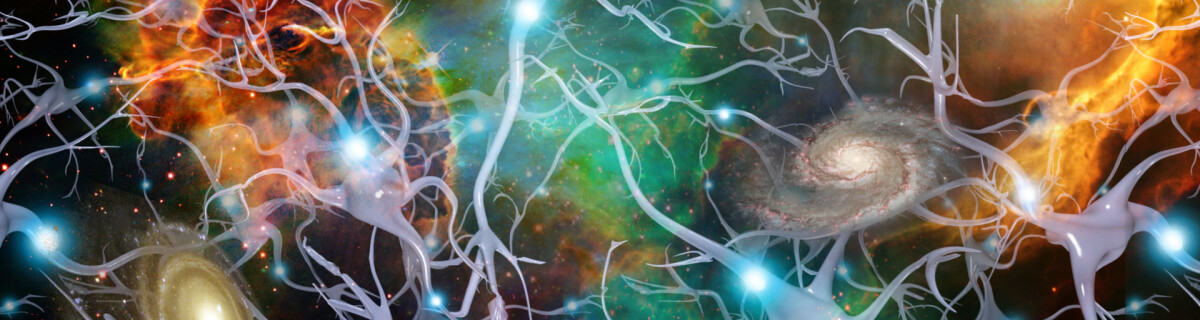Scientists have discovered which neurons in the brain determine competitive success