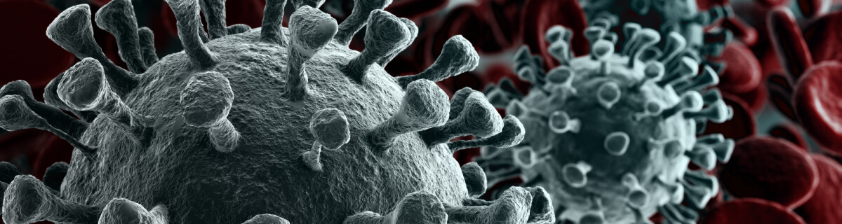 Хуже ковида: 8 самых смертоносных вирусов в истории человечества