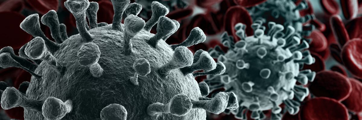 Much worse than covid: 8 of the deadliest viruses in human history