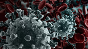 Хуже ковида: 8 самых смертоносных вирусов в истории человечества