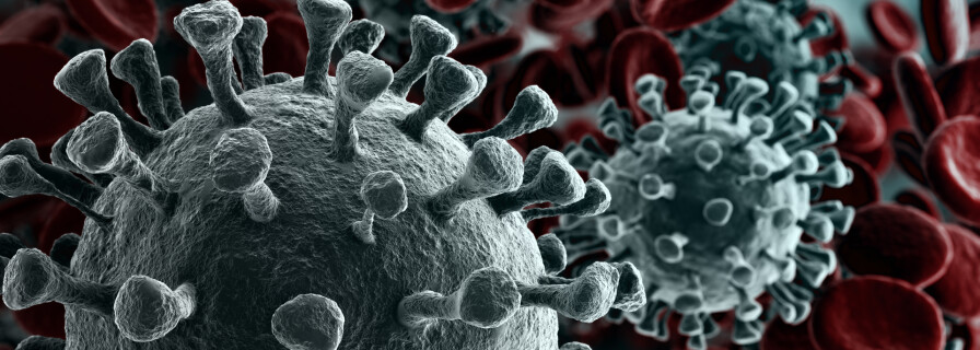 Хуже ковида: 8 самых смертоносных вирусов в истории человечества