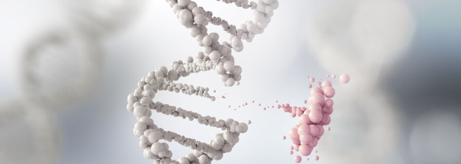 Как генетика влияет на наши вкусы и предпочтения