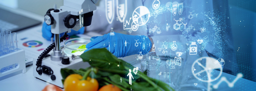 Foodtech: The Gastro-Technological Revolution in Restaurants and Food Delivery