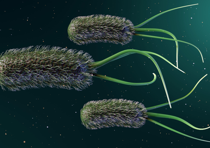 Bacteria Can Be Useful Too