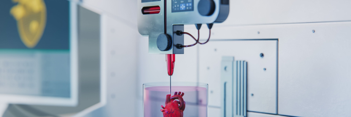 Print It! Bioprinting or How 3D Printers Create Human Hearts