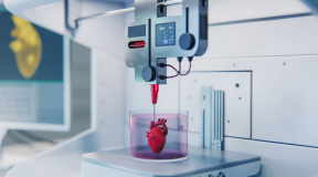 Print It! Bioprinting or How 3D Printers Create Human Hearts