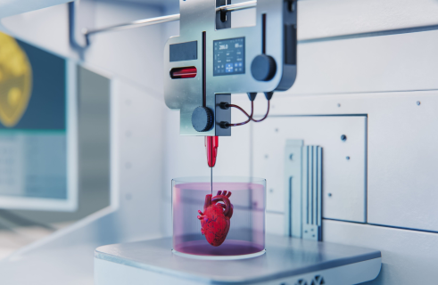 Print It! Bioprinting or How 3D Printers Create Human Hearts