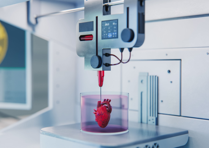 Print It! Bioprinting or How 3D Printers Create Human Hearts