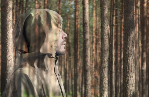 Материалы-хамелеоны: что умеет «умная» материя