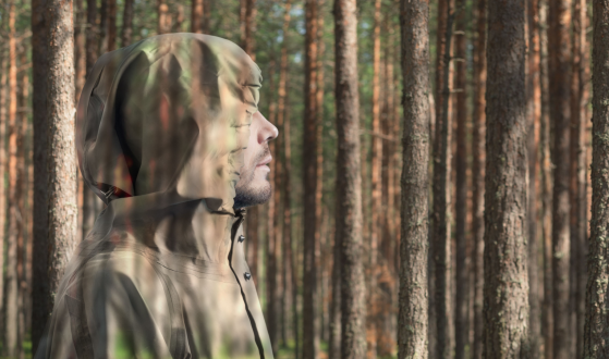 Chameleon Materials: What Can "Smart" Matter Do?