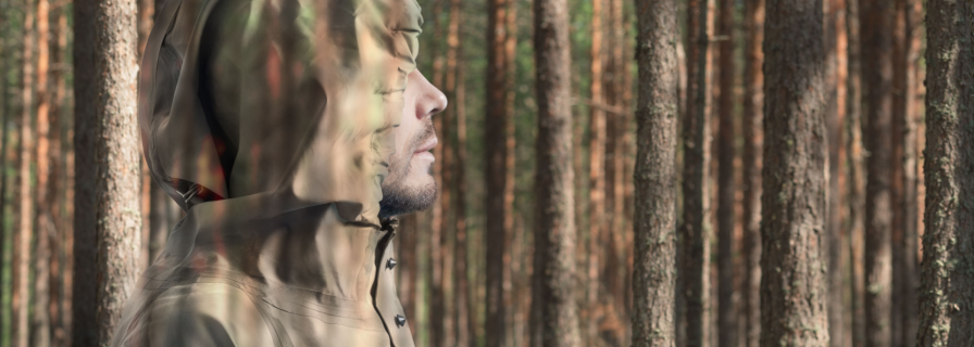 Chameleon Materials: What Can "Smart" Matter Do?