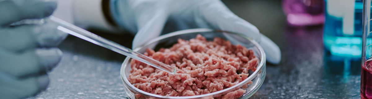 Стейк из пробирки, йогурт из CO₂ и шоколад, напечатанный на принтере: что будет на обед в 2030 году