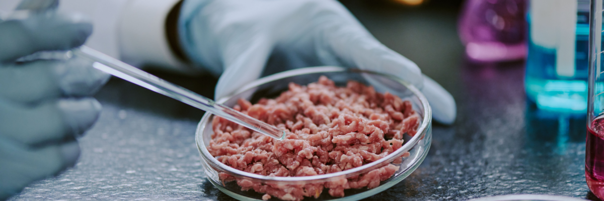 Стейк из пробирки, йогурт из CO₂ и шоколад, напечатанный на принтере: что будет на обед в 2030 году