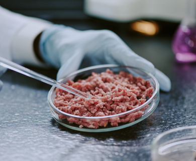 Стейк из пробирки, йогурт из CO₂ и шоколад, напечатанный на принтере: что будет на обед в 2030 году