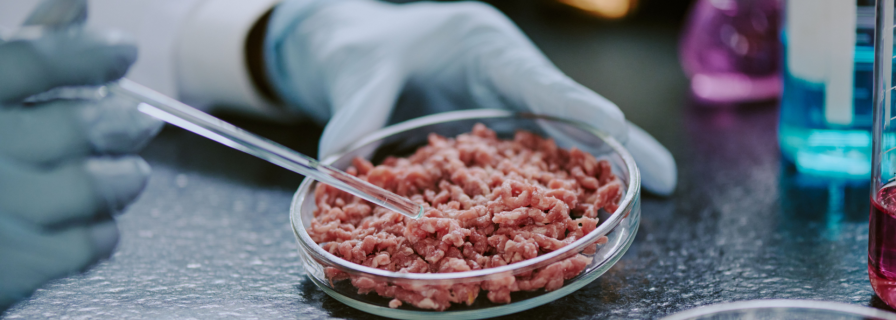 Стейк из пробирки, йогурт из CO₂ и шоколад, напечатанный на принтере: что будет на обед в 2030 году