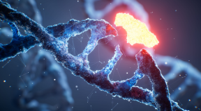 Surgery at the Molecular Level: How In Vivo Gene Editing Is Saving Lives
