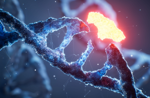 Surgery at the Molecular Level: How In Vivo Gene Editing Is Saving Lives