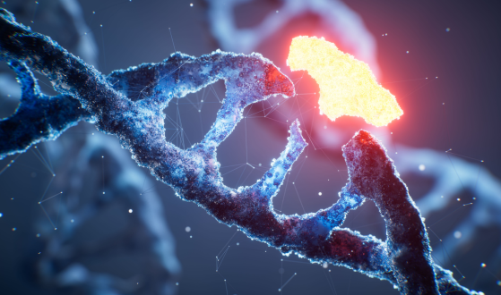 Surgery at the Molecular Level: How In Vivo Gene Editing Is Saving Lives