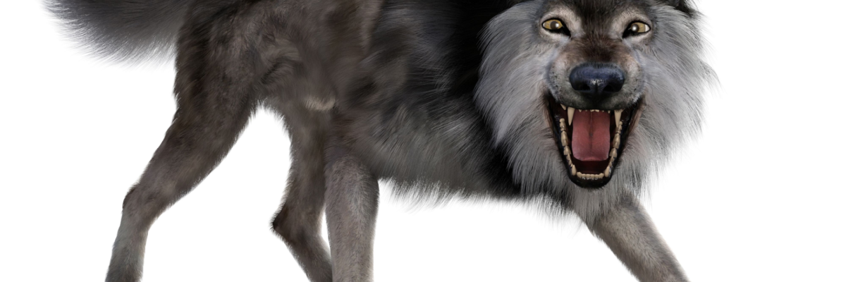 Return of the Dire Wolf: How Genetic Engineering Resurrected an Ice Age Predator