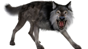 Return of the Dire Wolf: How Genetic Engineering Resurrected an Ice Age Predator