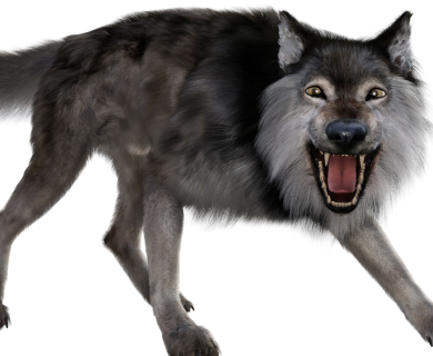 Return of the Dire Wolf: How Genetic Engineering Resurrected an Ice Age Predator