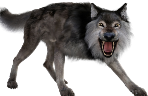 Return of the Dire Wolf: How Genetic Engineering Resurrected an Ice Age Predator