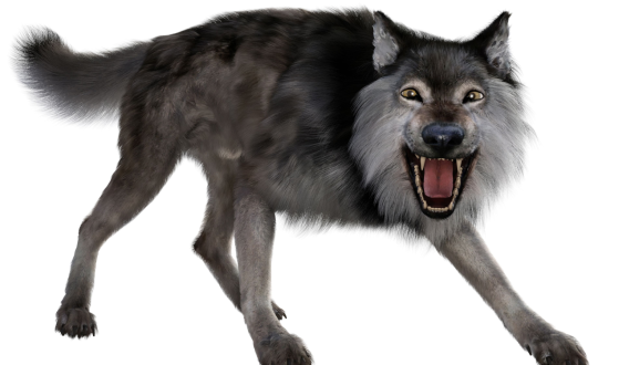 Return of the Dire Wolf: How Genetic Engineering Resurrected an Ice Age Predator